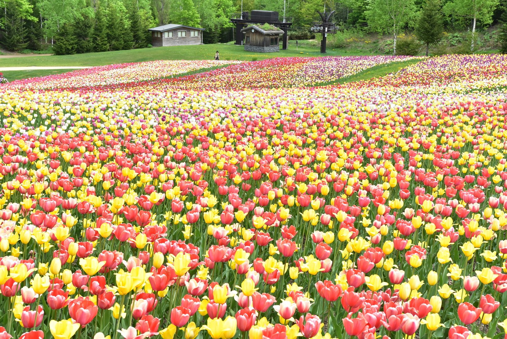 🏞️ 국영 다키노 스즈란 구릉공원 이미지 8